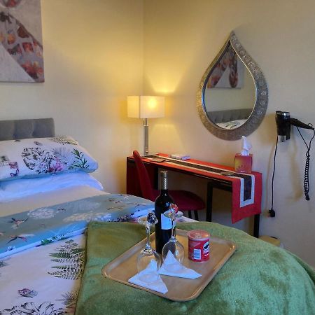 Mountroyal Victorian Studio Self Catering Apartment 3 Belfast Eksteriør billede