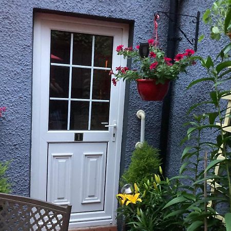 Mountroyal Victorian Studio Self Catering Apartment 3 Belfast Eksteriør billede