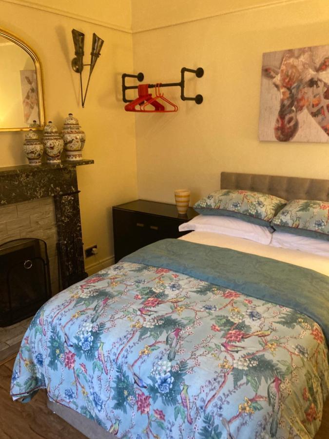 Mountroyal Victorian Studio Self Catering Apartment 3 Belfast Eksteriør billede