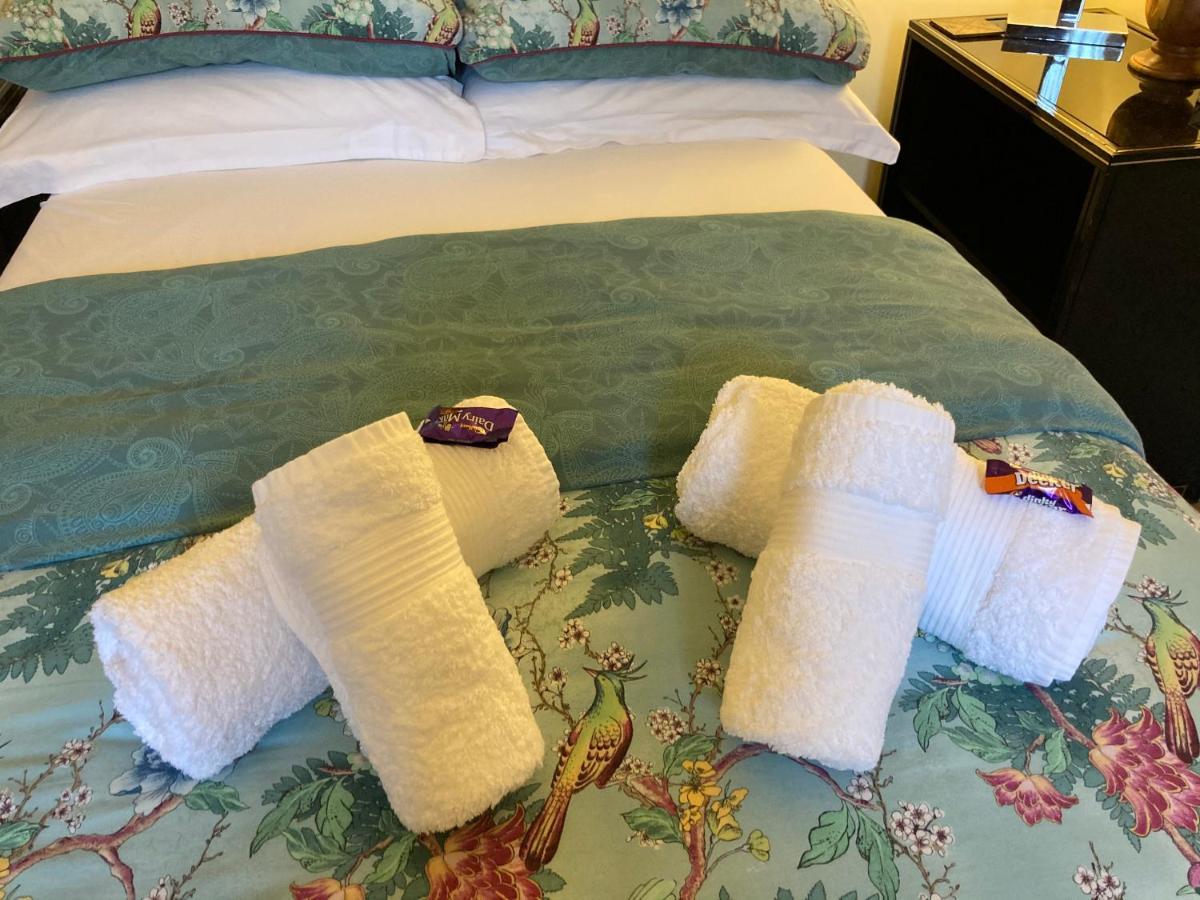 Mountroyal Victorian Studio Self Catering Apartment 3 Belfast Eksteriør billede