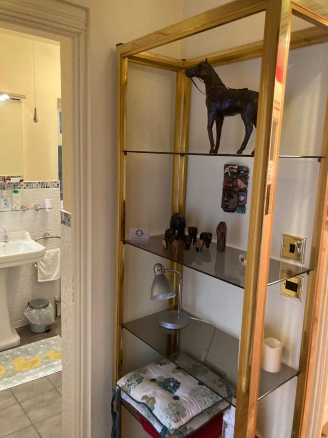 Mountroyal Victorian Studio Self Catering Apartment 3 Belfast Eksteriør billede