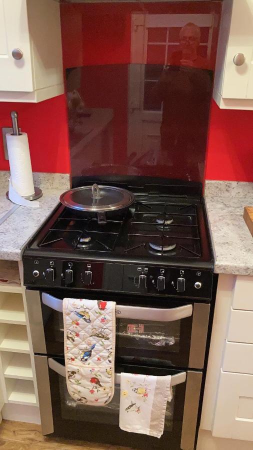 Mountroyal Victorian Studio Self Catering Apartment 3 Belfast Eksteriør billede