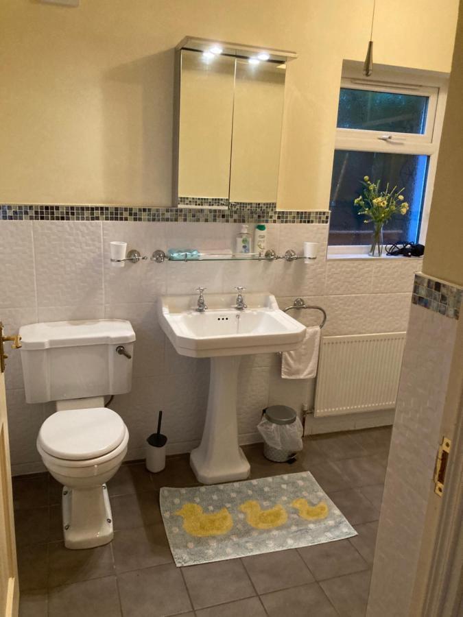 Mountroyal Victorian Studio Self Catering Apartment 3 Belfast Eksteriør billede