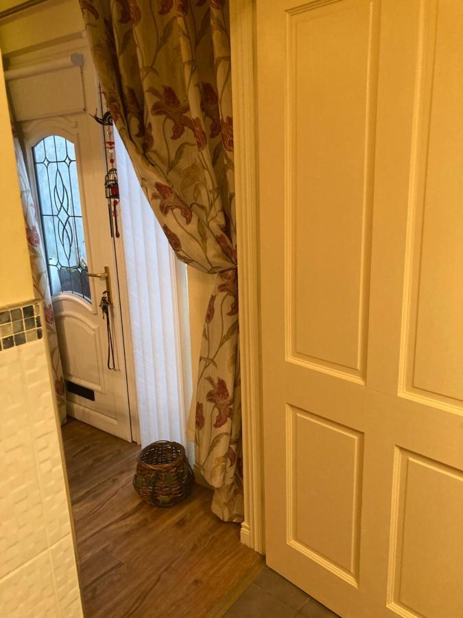 Mountroyal Victorian Studio Self Catering Apartment 3 Belfast Eksteriør billede