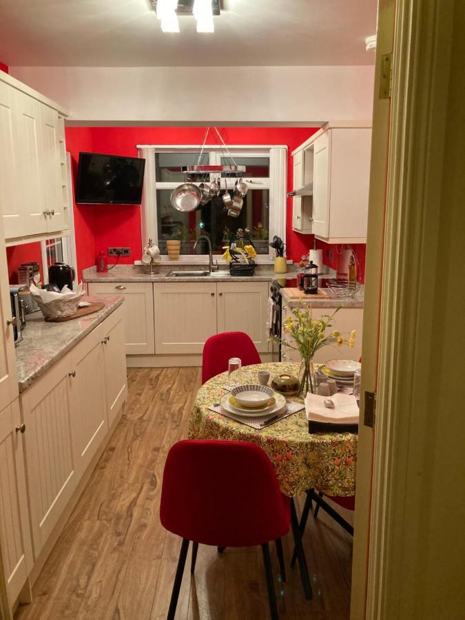 Mountroyal Victorian Studio Self Catering Apartment 3 Belfast Eksteriør billede