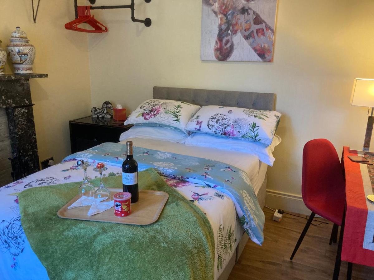 Mountroyal Victorian Studio Self Catering Apartment 3 Belfast Eksteriør billede