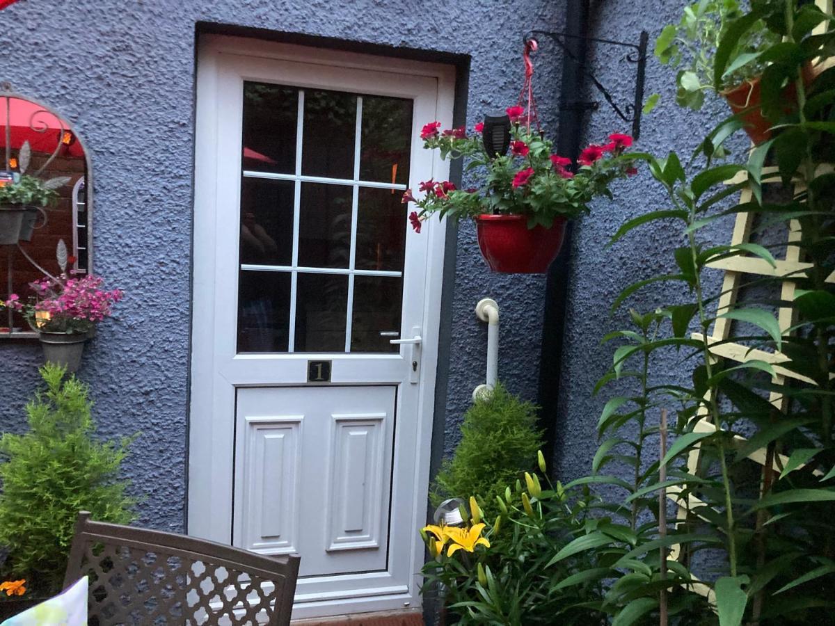 Mountroyal Victorian Studio Self Catering Apartment 3 Belfast Eksteriør billede