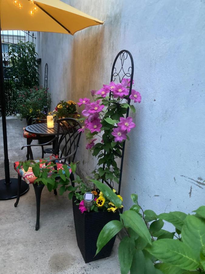 Mountroyal Victorian Studio Self Catering Apartment 3 Belfast Eksteriør billede