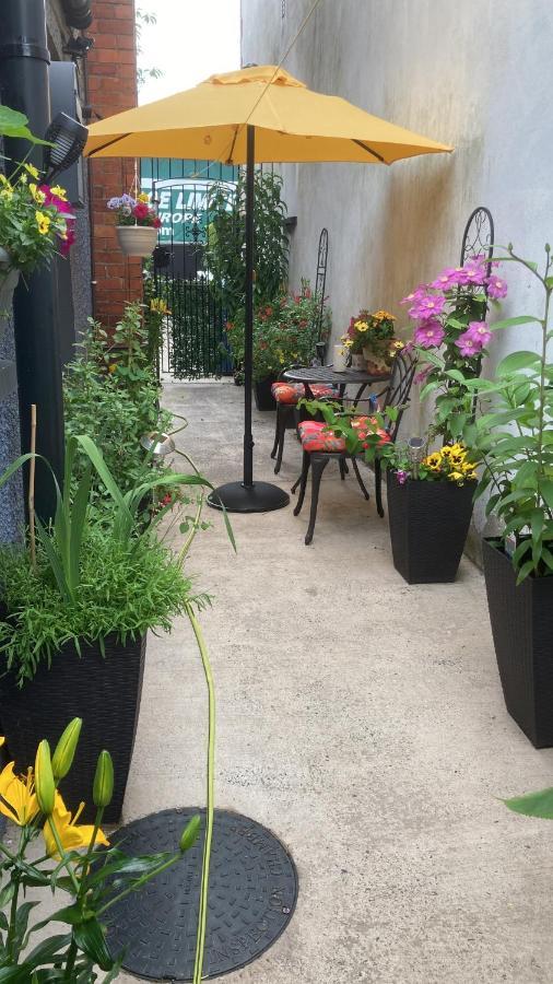 Mountroyal Victorian Studio Self Catering Apartment 3 Belfast Eksteriør billede