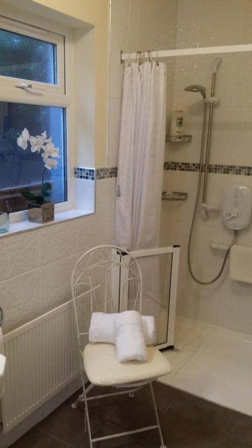 Mountroyal Victorian Studio Self Catering Apartment 3 Belfast Eksteriør billede